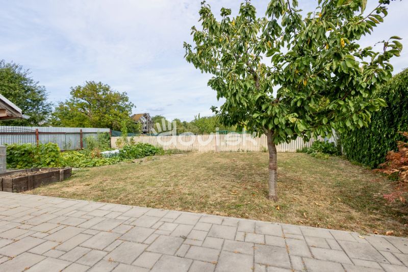 The garden of a family house on Topolianska Street in Michalovce with paving and a tree.