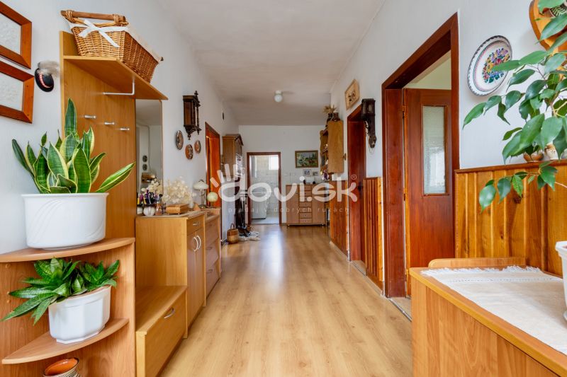 A hallway of a family house with a wooden decor floor, furniture, and plants.