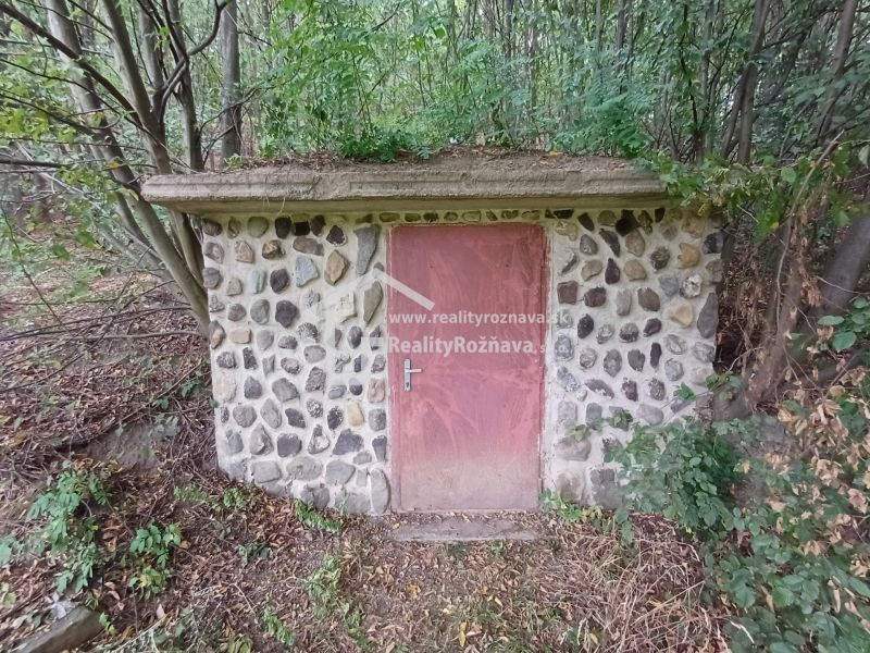 A stone cellar in a family house in Drnava surrounded by dense forest vegetation.