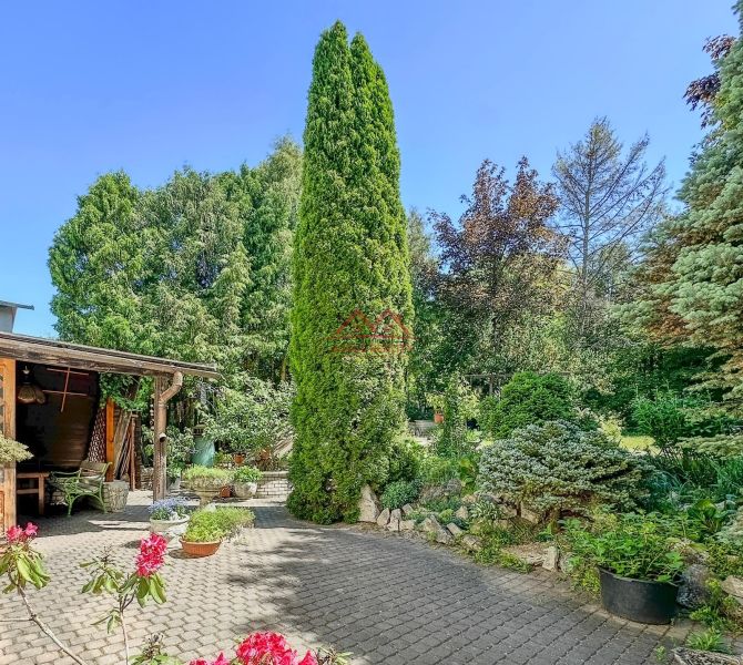 A family house in Sady nad Torysou with a landscaped garden, paved walkway, and lush vegetation.