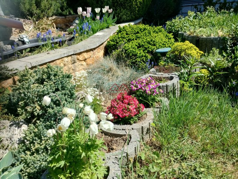 A flower garden at a family house in Sady nad Torysou with colorful plants and stones.