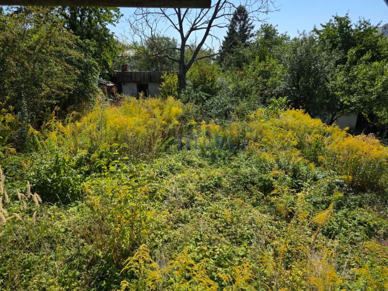 Overgrown plot with bushes and trees near the cottage on Popradská Street in Košice West.
