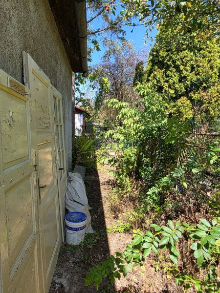 Next to the cottage on Popradská Street in Košice West, there is an overgrown garden.