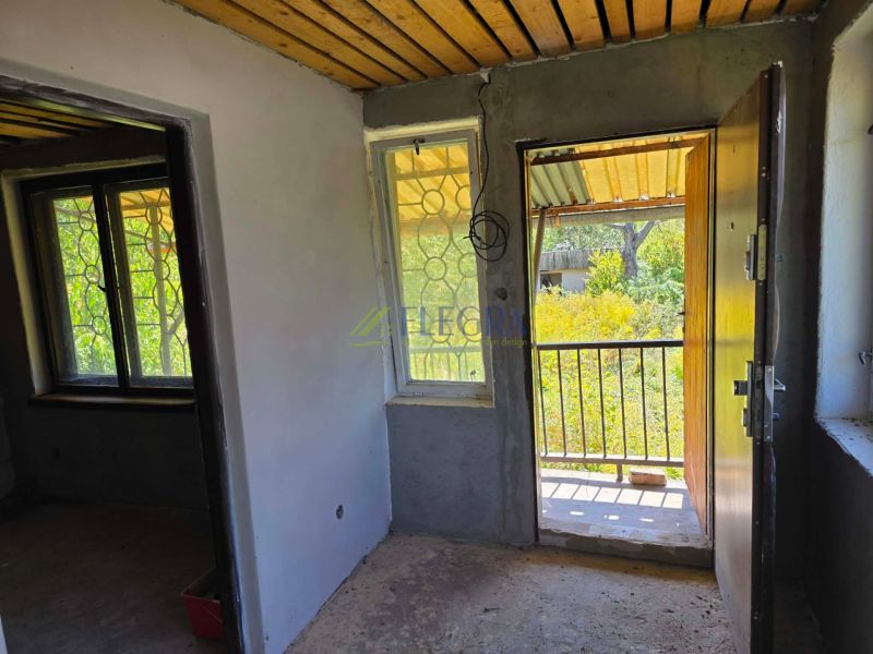 A cottage with a wooden ceiling, a view from the front door, and a window grille.