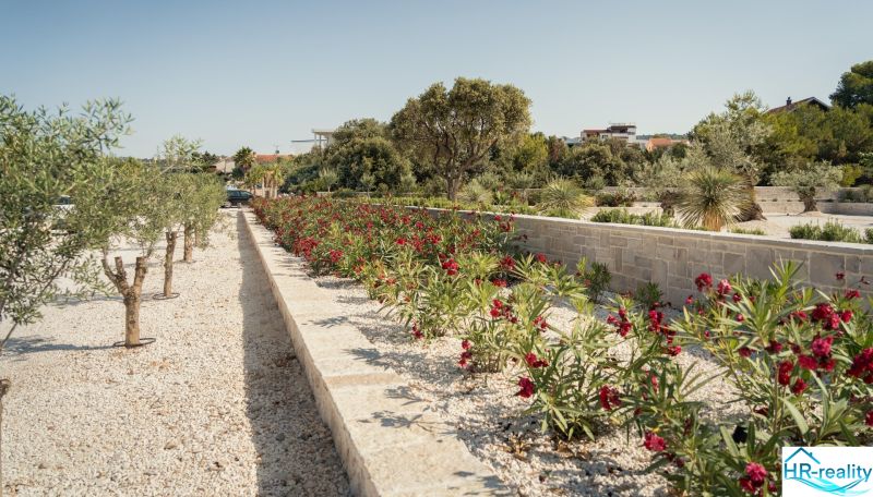Garden with olive trees and flowers near a holiday apartment in Sevid.