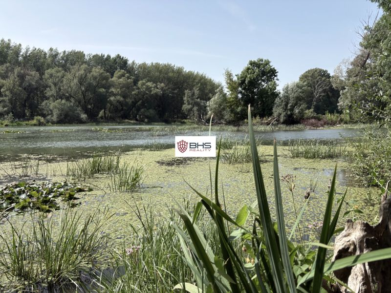 A lake surrounded by greenery and trees near a cottage in Bodíky.