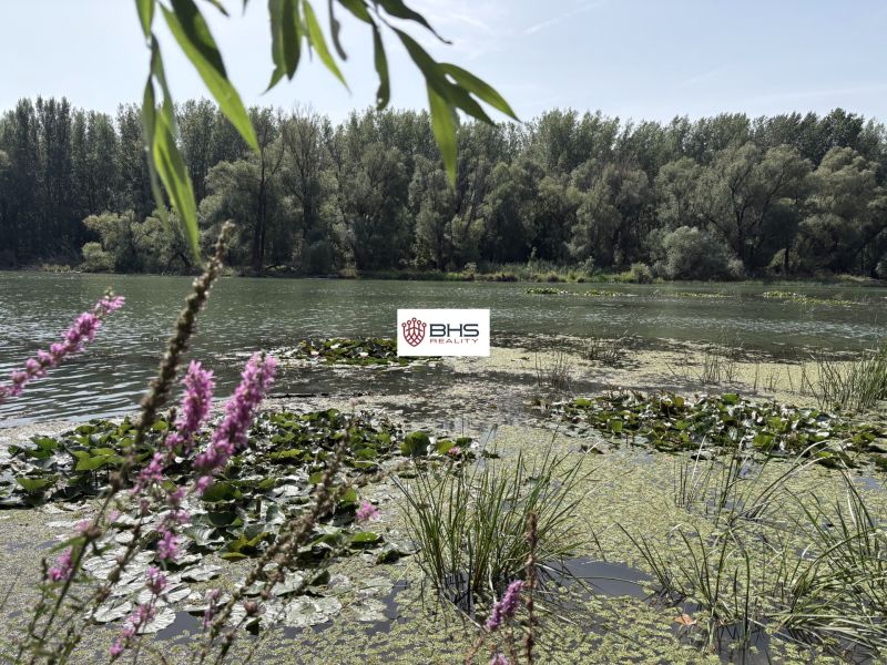 A peaceful river surrounded by trees and flowers in Bodíky near the cottage.