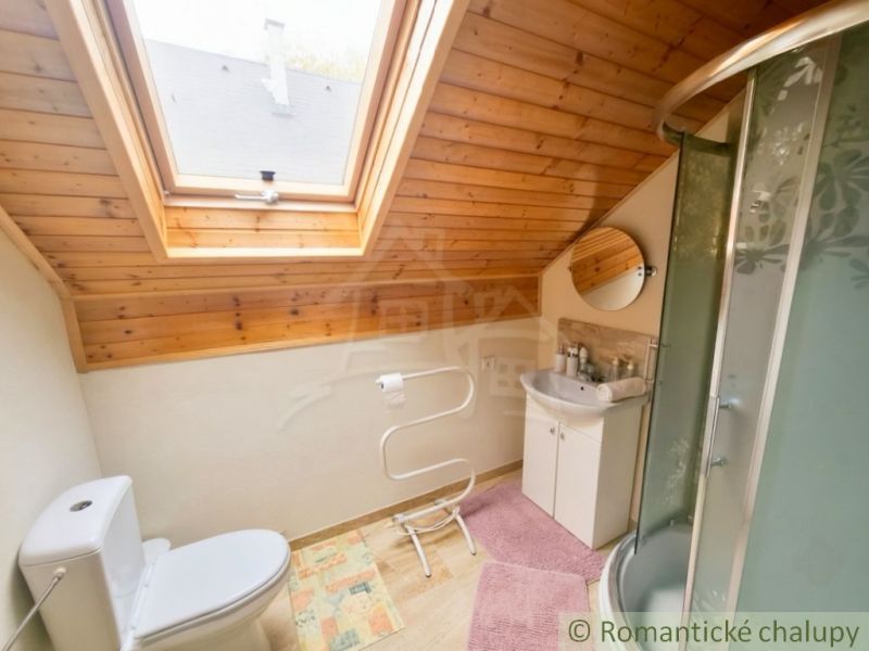 Bathroom with wood-patterned flooring, a shower corner, and a skylight in the cabin.