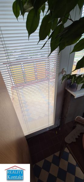 A door with white blinds and a plant, a floor with a colorful pattern in a family house.