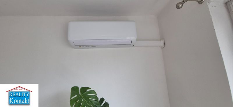 An air conditioner on the wall in a family house, next to the leaves of a plant.
