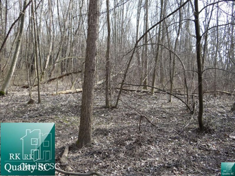 Forest land at the Old Port Gabčíkovo suitable for living.