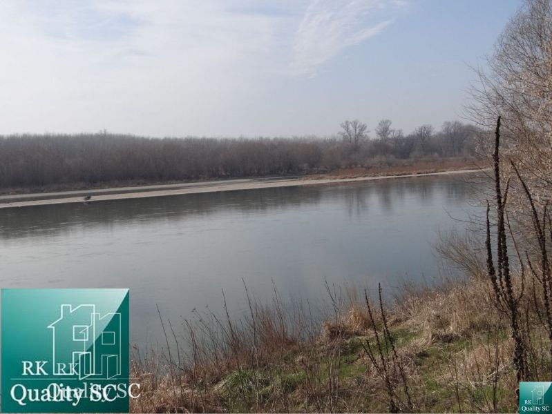 River with a bank and trees on the plots – living in the Old Port Gabčíkovo.
