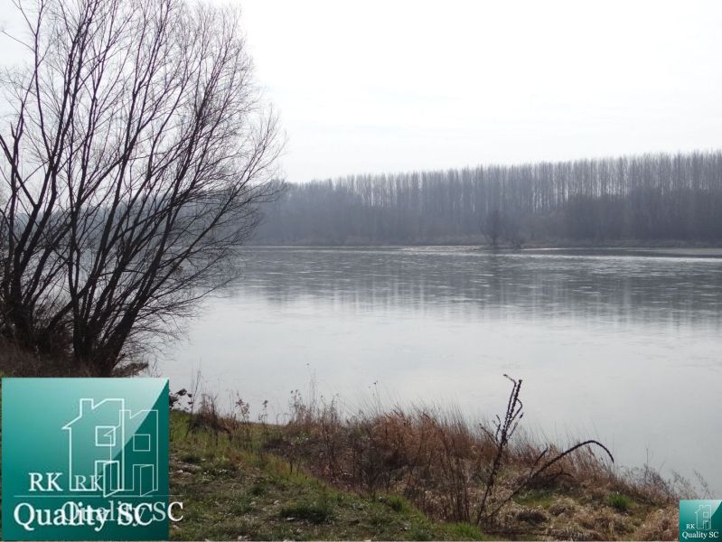 A river with bare trees on the bank on a residential plot in the Old Harbor Gabčíkovo.