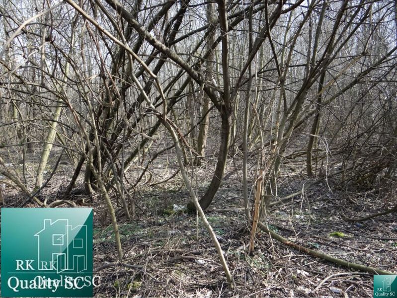 Forest cover on the land - housing in the Old Port Gabčíkovo, suitable for modification.