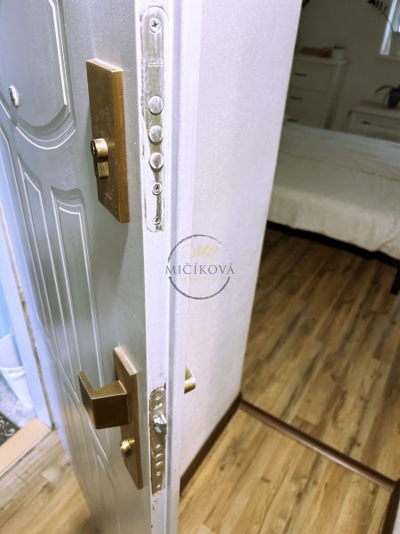 Doors with a security lock and a floor with a wooden decor in a 2-room apartment.