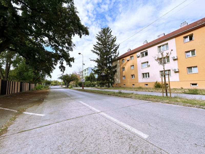 Ľudovíta Štúra Street in Levice with an apartment building and trees offers a 2-room apartment.