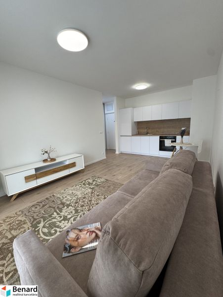 Living room in a studio apartment with a kitchenette and a wooden decor floor.