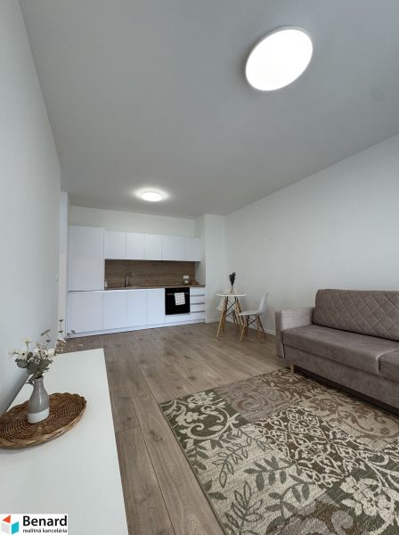 Living room with kitchen, sofa, and wooden decor flooring in a studio apartment.