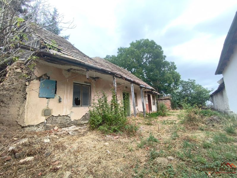 An old neglected family house in Mikušovce surrounded by vegetation and dry grass.