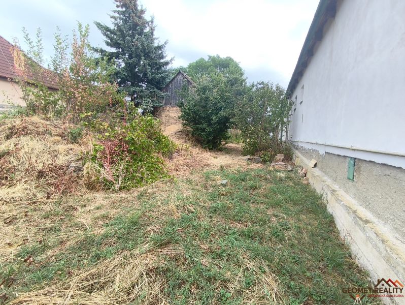 Garden at a family house in Mikušovce with grass cover and trees.