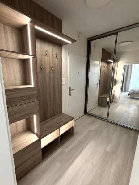 Entrance hallway in a 2-room apartment with a wooden decor floor and a built-in wardrobe.