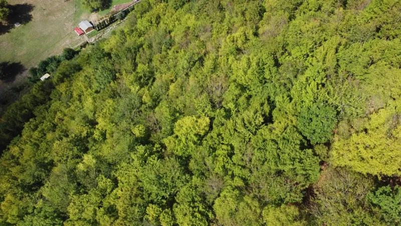 Aerial view of forest stands and landscape around the village of Župkov.