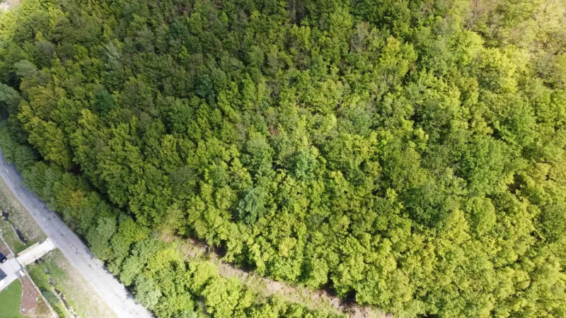 An aerial view of forest lands in Župkov, where there are dense tree canopies.