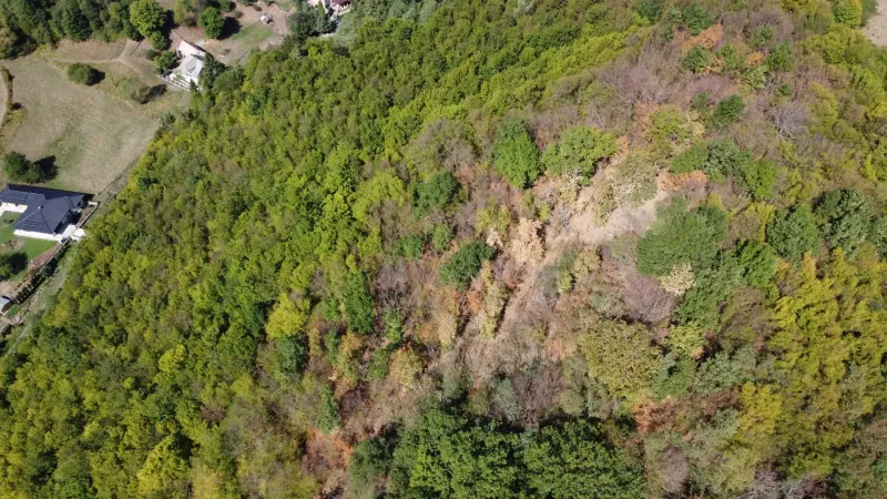 Aerial view of forest land in Župkov surrounded by rural landscape and houses.