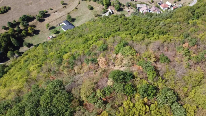 Aerial view of agricultural and forest lands in Župkov with visible buildings.