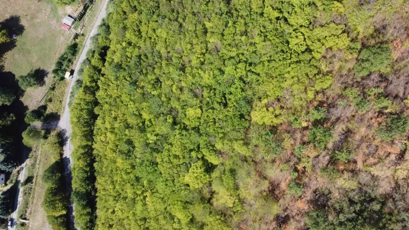 Aerial view of agricultural and forest lands in Župkov with green vegetation.