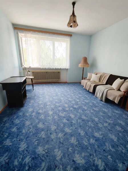 Living room in a family house with a blue carpet and simple furnishings.