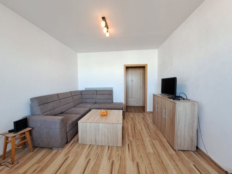 Living room in a three-room apartment with a sofa and a wooden decor floor.
