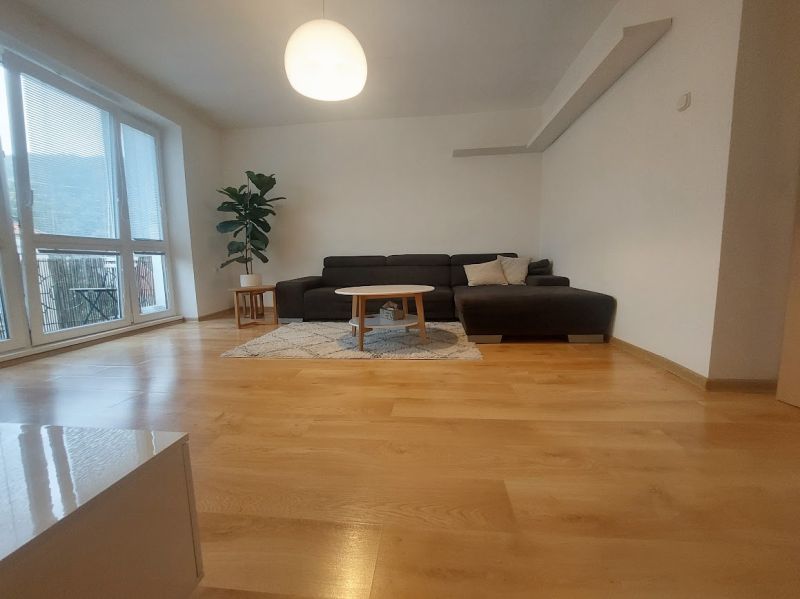 Living room in a two-room apartment with a wooden decor floor and a sofa bed.