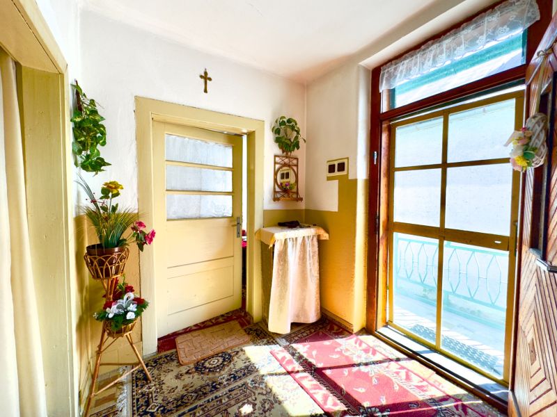 The interior of a family house with plants, an oriental rug, and a large window.