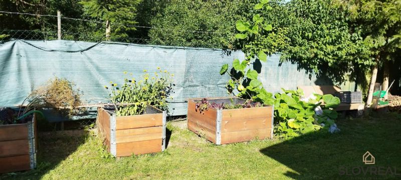 The garden at the cottage in Lutila with raised beds and greenery.