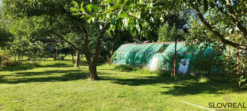 A garden near the cottage in Lutila with a lawn, trees, and a large greenhouse.