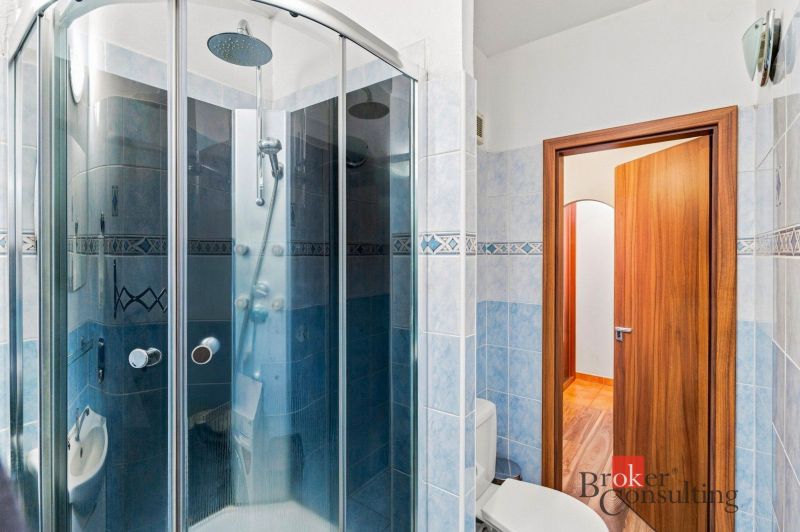 A bathroom with blue tiles, a shower corner, and a mirror in a 2-room apartment.