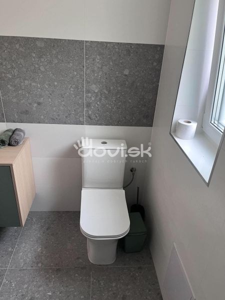 Bathroom section of the cottage with a toilet, sink, and tiles in gray decor.