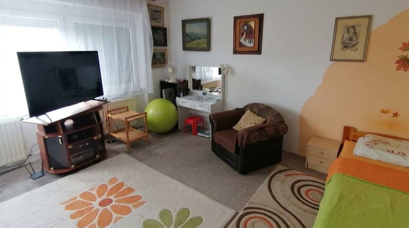Living room in a family house with a television, carpets, and an armchair.