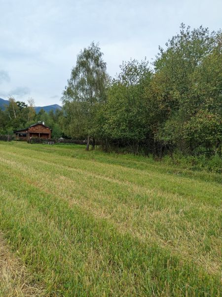 Recreational plots in Turany surrounded by trees and a wooden house in the distance.