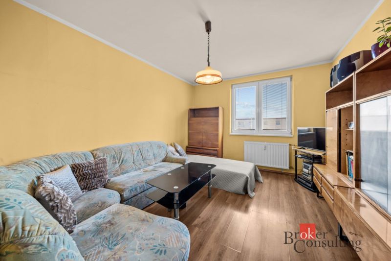 Living room in a 3-room apartment with a wooden decor floor, sofa, and furniture.