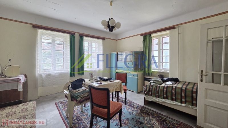 A living room in a family house with retro furniture and large windows.