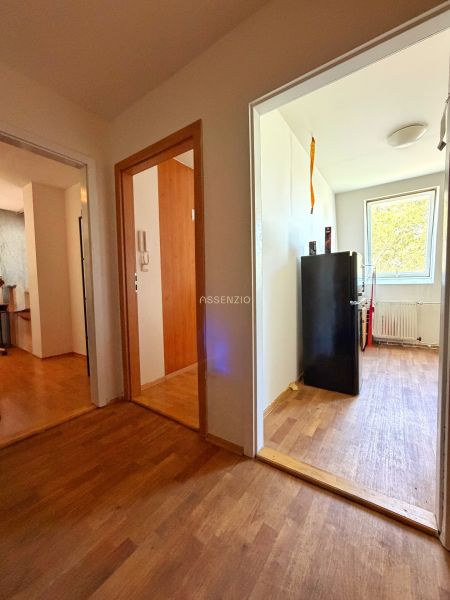 A view into the rooms of a 2-room apartment with a wooden decor floor.
