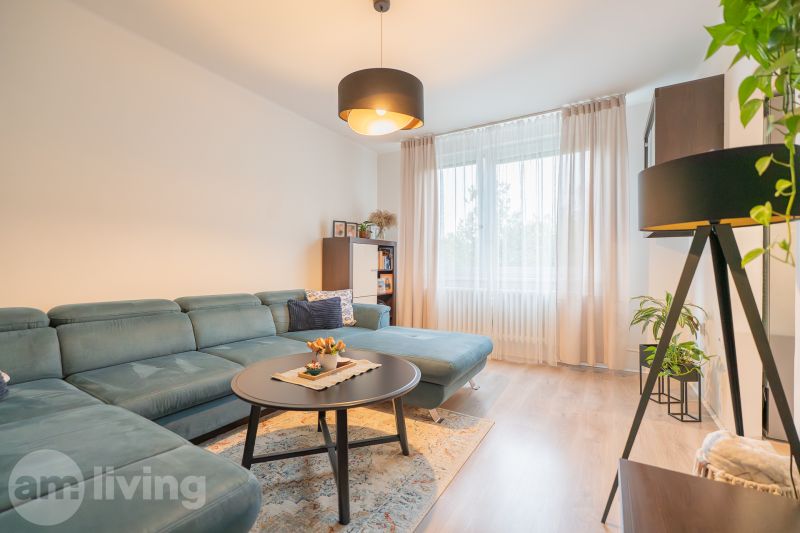 Living room in a 3-room apartment with a sofa, coffee table, and floor with a wooden decor.