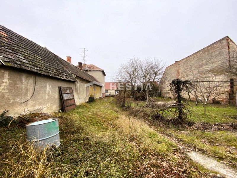 The backyard of a family house in Borský Svätý Jur with a lawn and older buildings.