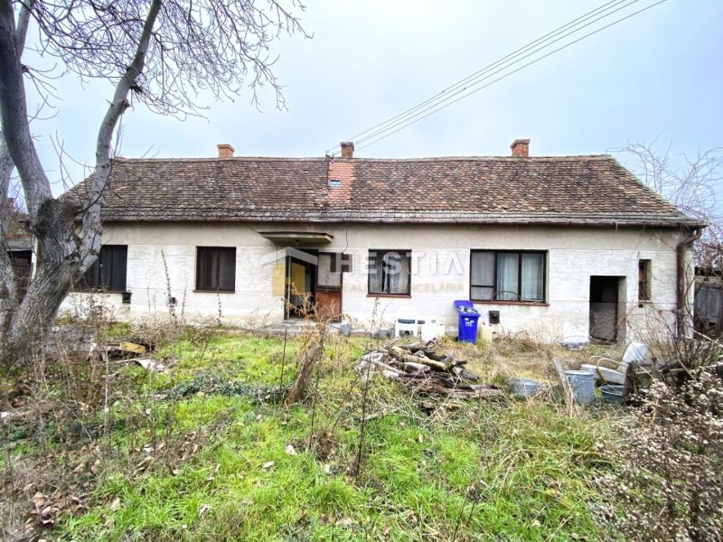 A family house in Borský Svätý Jur, an older building with a spacious garden and vegetation.