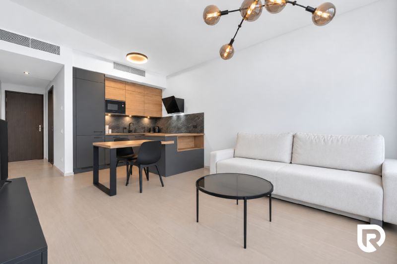Living room with a kitchenette, wooden decor flooring, and a white sofa in a two-room apartment.