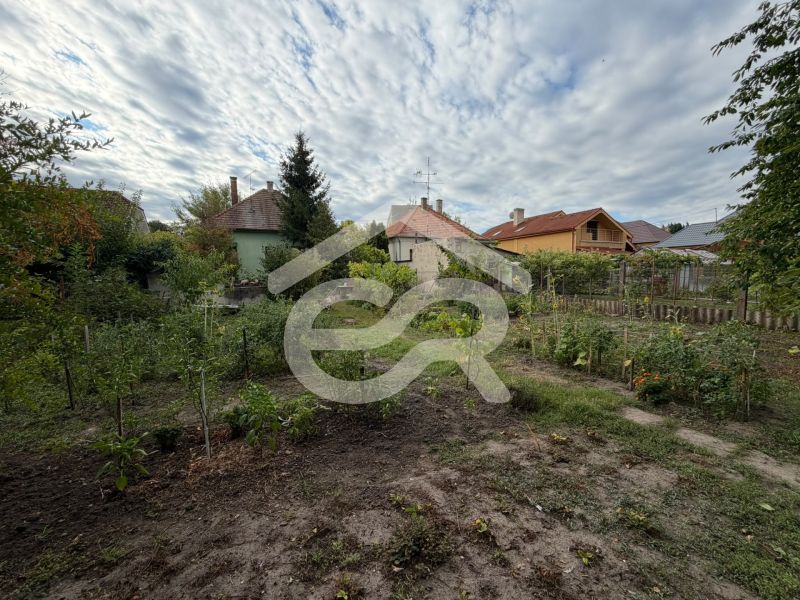 A garden in the background with family houses on Šulekova Street in Nové Zámky.