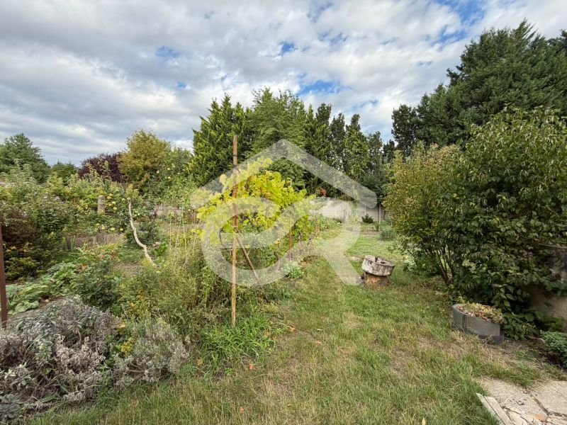 Garden of a family house on Šulekova Street in Nové Zámky with fruit trees.