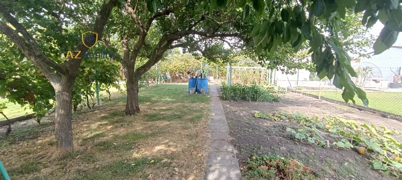 Gardens in Nesvady full of trees and vegetable beds located behind the fence.